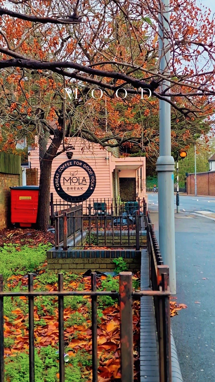 The Mola Break shopfront on High Road Leyton, seen across the railings under autumn trees